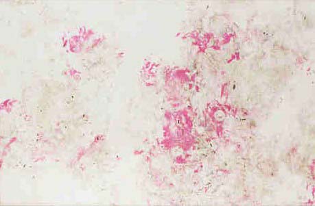 painting by bao bao: item 334